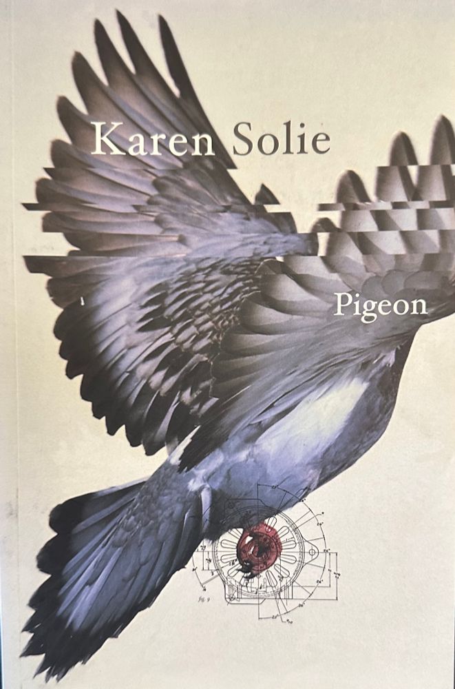 Cover of Karen Solie's book Pigeon