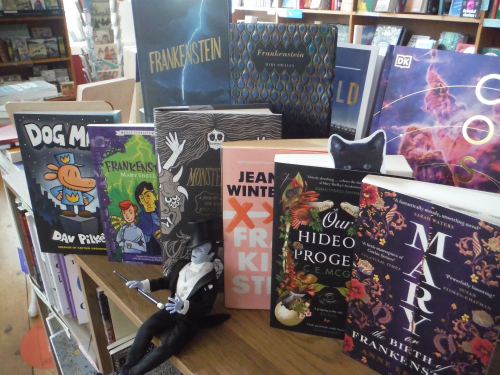 Young Frankenstein with his favourite books: Back row: 2 versions of #Frankenstein by #MaryShelley. Front row (R to L): #MaryOrTheBirthOfFrankenstein by #AnneEekhout #LauraWatkinson #OurHideousProgeny by #CEMcGill #Frankisstein by #JeanetteWinterson #Monsterland by #NickJubber #Frankenstein (easy classics) #DogMan