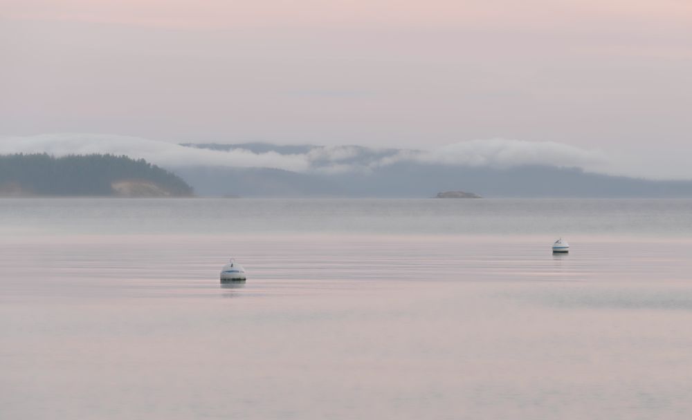Morning on Orcas Island with two buoys floating in the foreground.  The water and sky are pastel pink and blue. The hills of the distant land have a fog bank hanging over them.