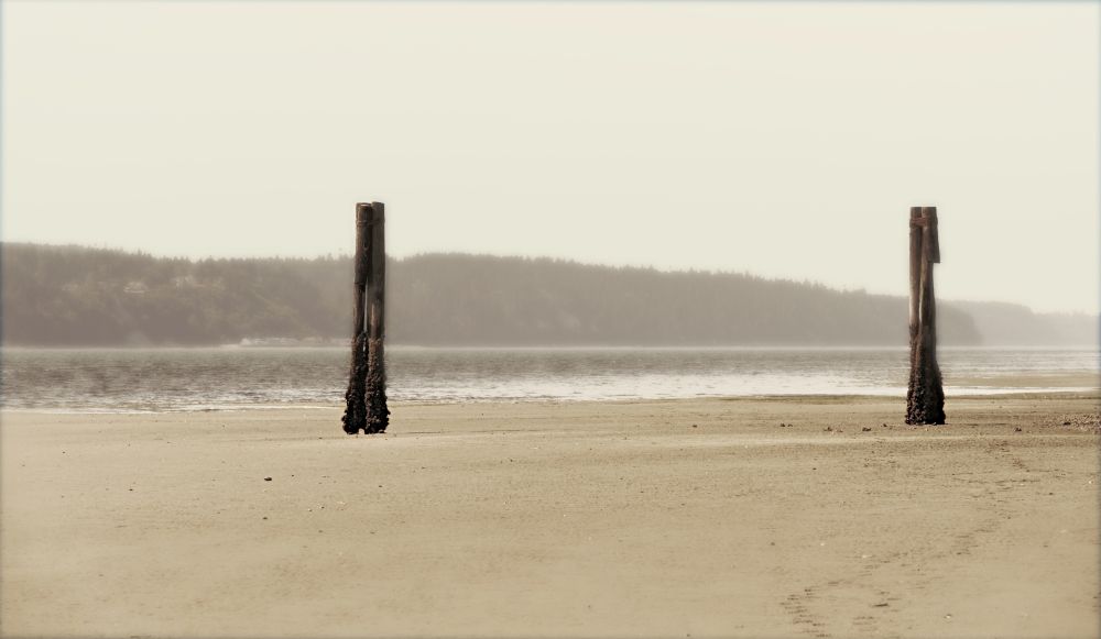 Two abandoned pilings stand on a beach at low tide with shimmering water and the opposing tree-lined shoreline. Footprints on the beach lead toward the pilings.