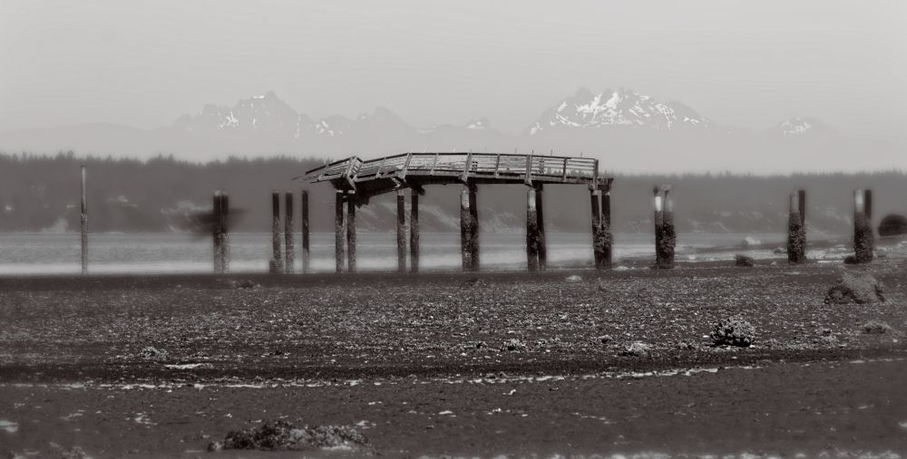 Black and white image of an old pier at a very low tide.  The pier is intact only in the middle, with both ends consisting only of pilings rising from the low tide substrate and holding up nothing.  Thus, the pier no longer is connected to shore. The snow-capped Cascade Mountains are visible in the distance.