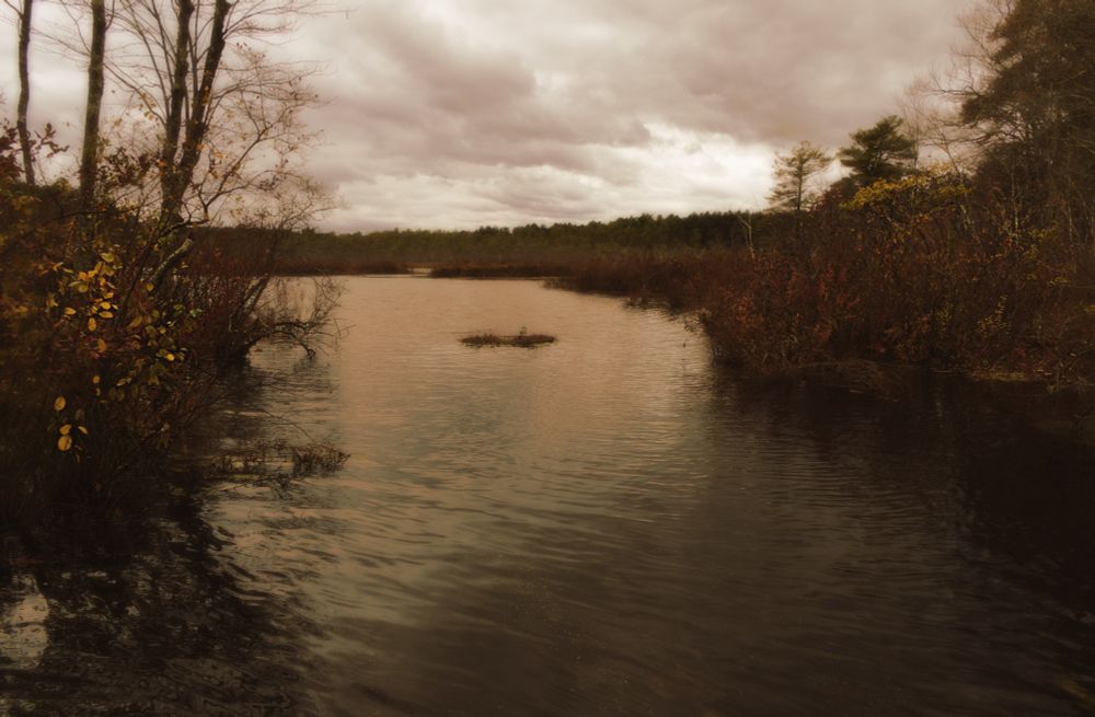A somber pond with autumn colors. The water is lined with trees and bushes with the cloudy sky gently reflected in the water.