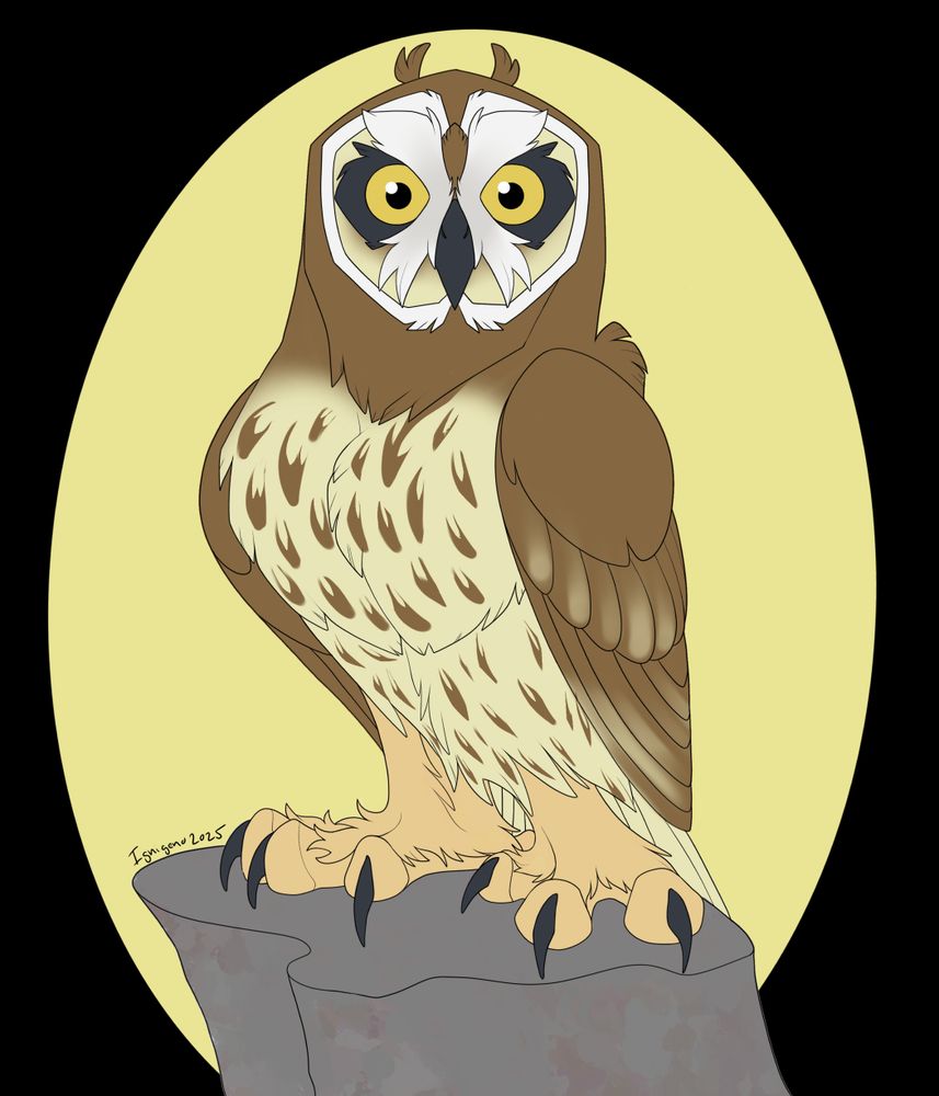 A cartoony illustration of a short-eared owl.