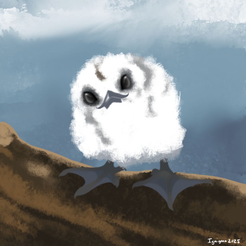 A simple painting of a white tern chick.