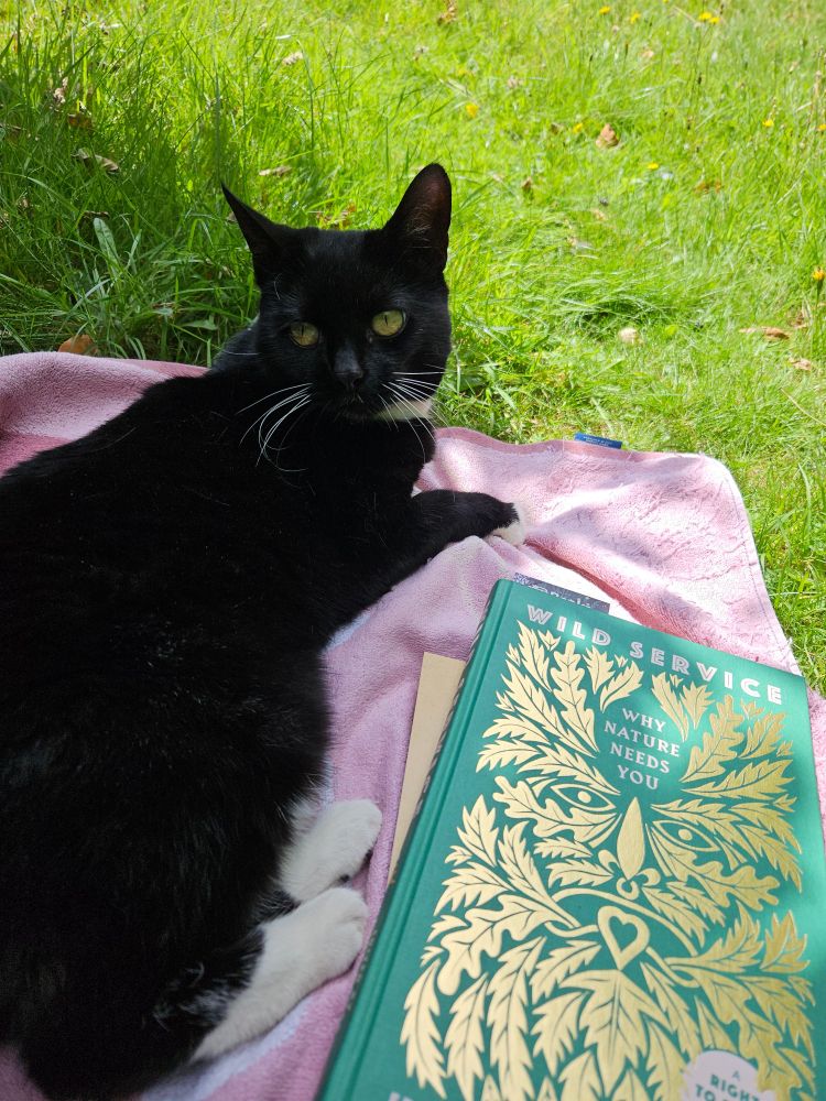 A photo of a small black and white tuxedo cat lying on an old purple towel on some vibrant green grass. Next to her is a pile of books, the topmost one being a dark green hardback with a leafy Green Man face in gold foil on the cover: "Wild Service: Why Nature Needs You".
