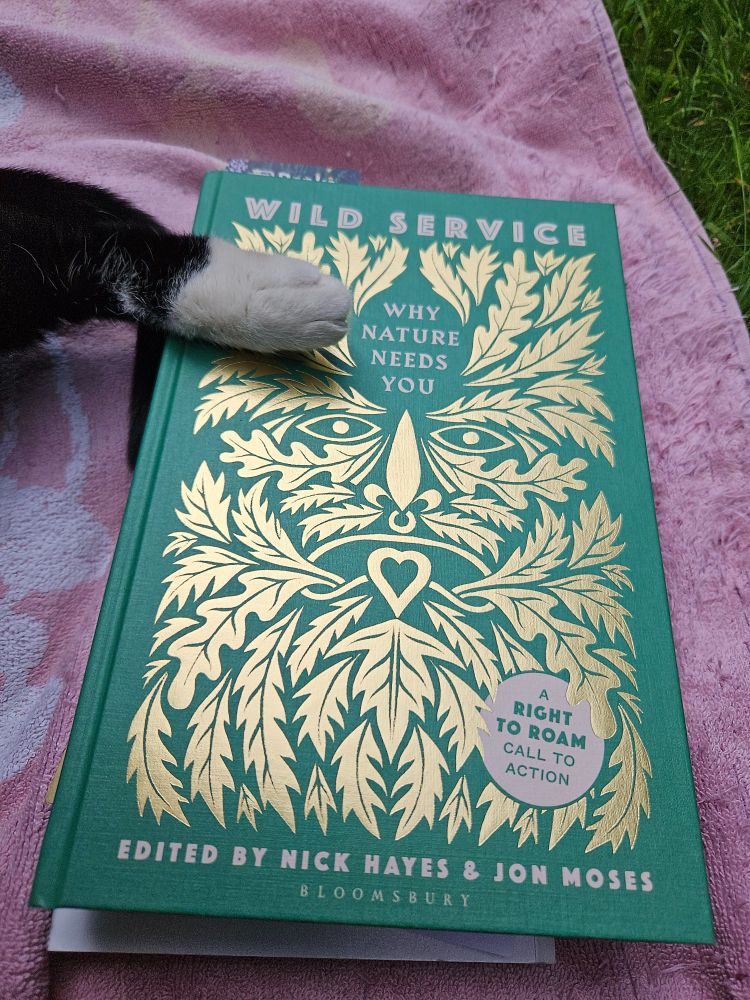 A photo of a lovely dark green hardback book with a leafy Green Man face in gold foil on the cover. The title is "Wild Service: Why Nature Needs You", and it is edited by Nick Hayes and Jon Moses. The book sits on an old purple towel with a black and white cat's little besocked paw resting on it.