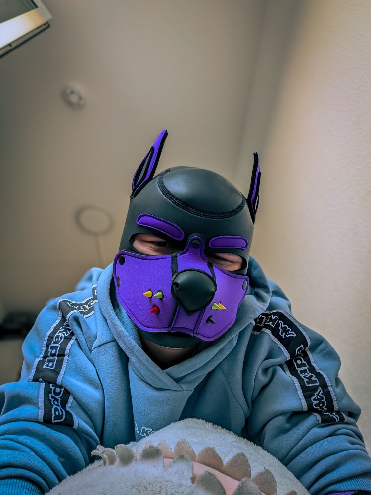Puppy with purple hood and a light blue Hoody looking into the camera while sitting on an blåhaj (Ikea shark)