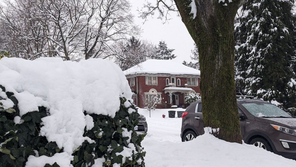 Snow piled a foot high. Brick house, snow covered hedge, a tree, and a car. Vancouver.