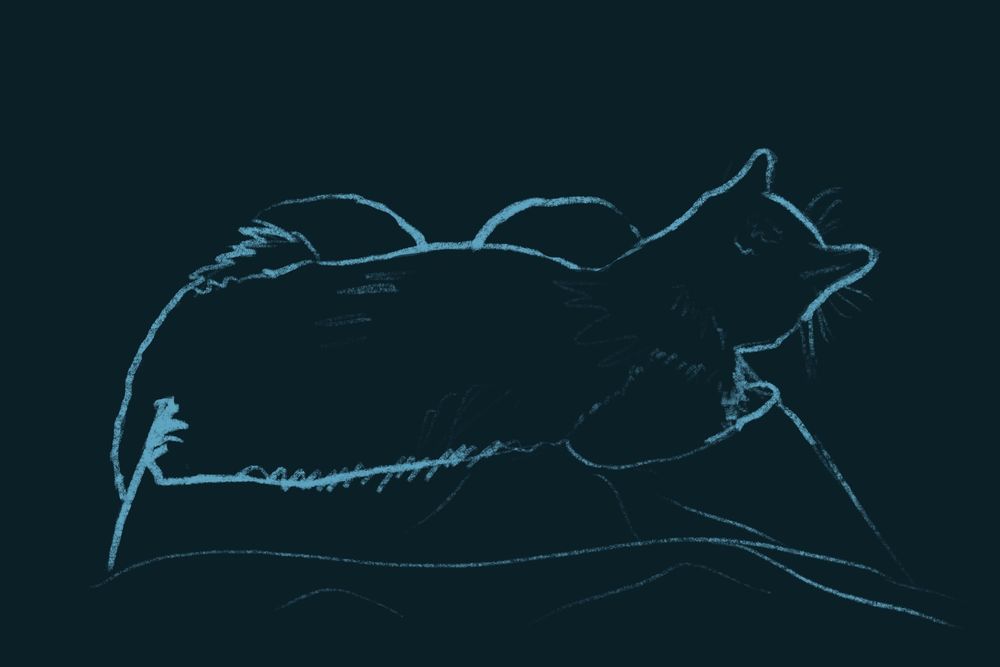 black and light blue silhouette of my cat Mocha laying in my lap