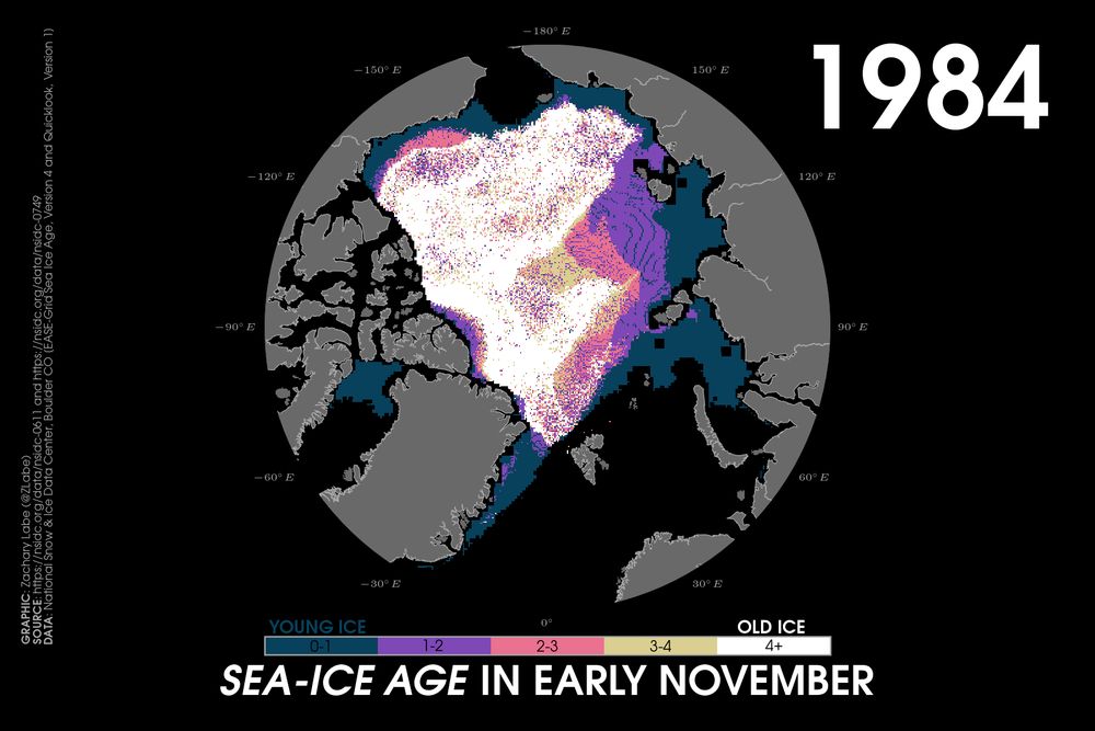 Polar stereographic maps showing Arctic sea ice age in November 1984. There is widespread multi-year sea ice, especially older than 4 years.