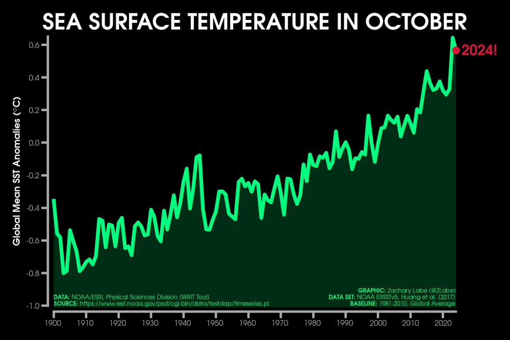 Green line graph time series of average sea surface temperature anomalies for each October from 1900 through 2024. There is large interannual variability, but an overall long-term increasing trend. Anomalies are computed relative to a 1981-2010 baseline.