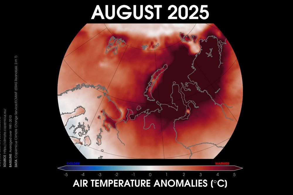 Polar stereographic map of a region across the Barents-Kara Seas of the Arctic. The map shows temperature anomalies with red being warmer than average and blue being colder than average relative to a 1981-2010 baseline using ERA5 data. Most places are warmer than average during this month of August 2025.