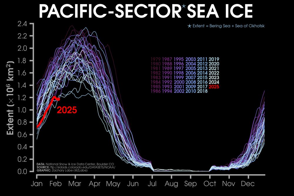 Graphic showing a line graph time series of daily Arctic sea ice extent in the Pacific sector of the Arctic (Bering Sea and Sea of Okhotsk) for each year from 1979 to 2024. This year is shown in red. Purple to white color shading is used for each other year's line. There is a long-term decreasing trend for every day of the year.