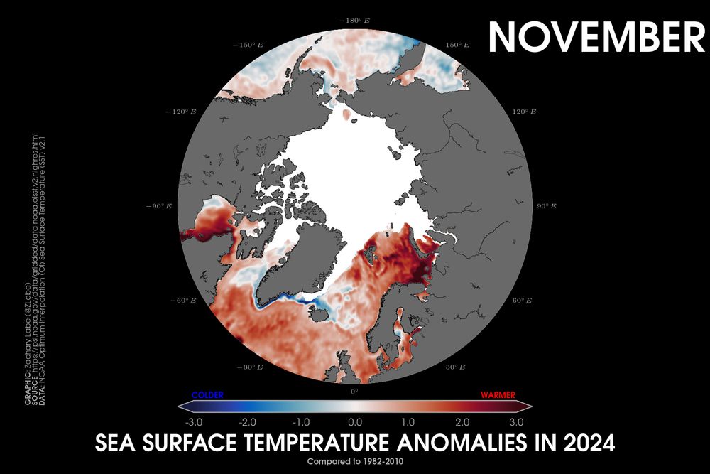 Polar stereographic map showing sea surface temperature anomalies in November 2024 relative to 1982 to 2010. Most areas are warmer than average. Sea-ice cover is also shown if sea-ice concentration is at least 15% per each grid point. Red is shown for warmer sea surface temperatures, and blue is shown for colder sea surface temperatures. Data is from OISSTv2.1.