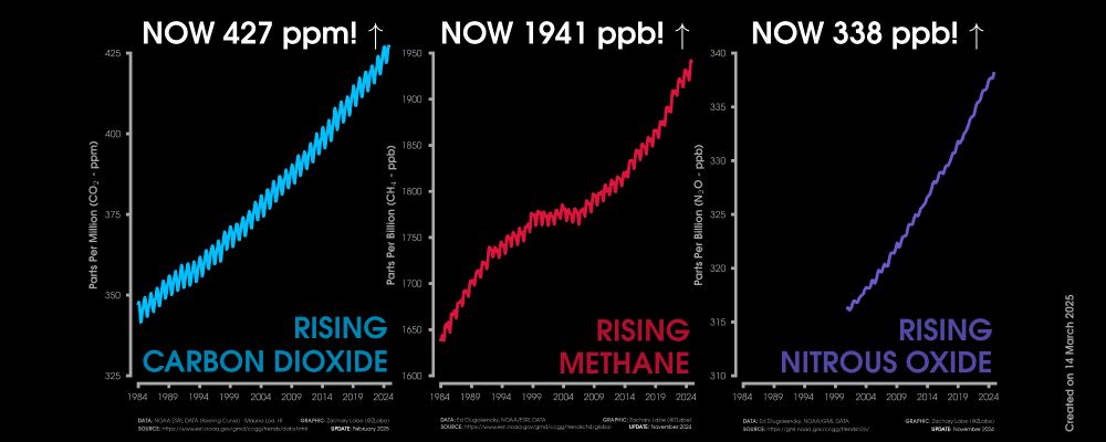 Graphic shows three line graph time series of monthly carbon dioxide abundance in ppm (blue line), monthly methane abundance in ppb (red line), and monthly nitrous oxide in ppb (purple line). Graphs are all shown from January 1984 through November 2024/February 2025. Current levels of CO2 are 427 ppm. Current levels of methane are 1941 ppb. Current levels of nitrous oxide are 338 ppb. All graphs show long-term increasing trends along with some interannual variability and seasonality. 
