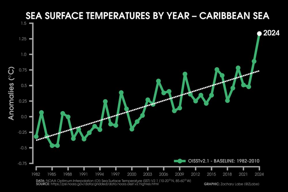 Line graph time series of annual mean sea surface temperature anomalies from 1982 to 2024. There is a long-term increasing trend and 2024 is the warmest on record. Anomalies are relative to 1982-2010.