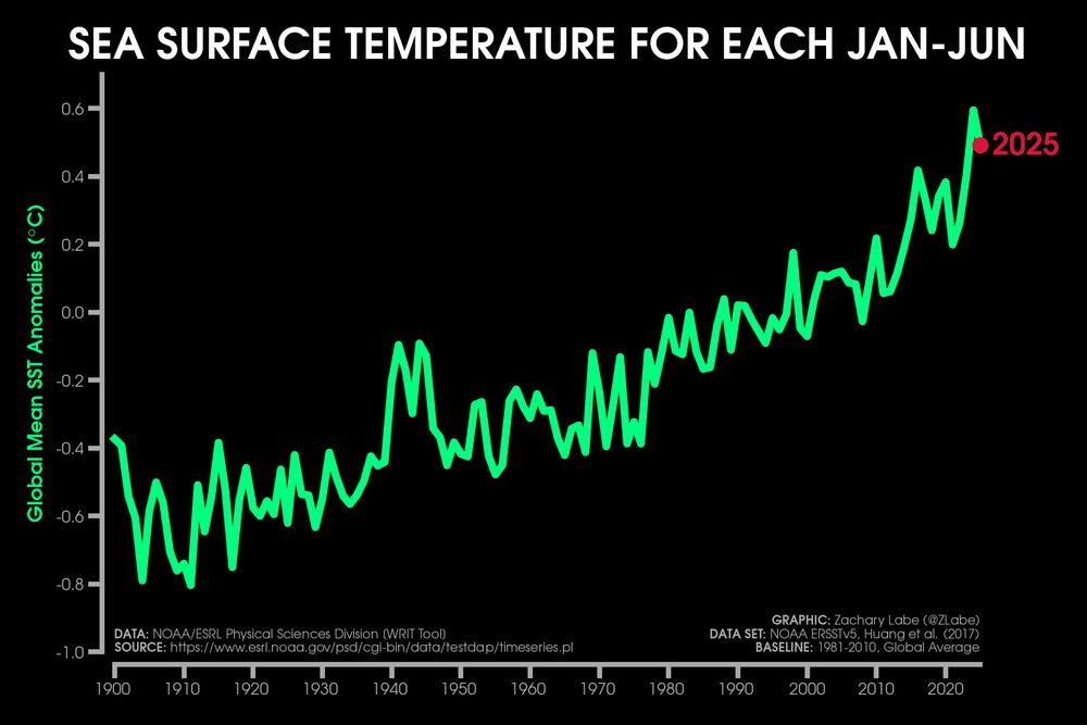 Green line graph time series of average sea surface temperature anomalies for each January to June period from 1900 through 2025. There is large interannual variability, but an overall long-term increasing trend. Anomalies are computed relative to a 1981-2010 baseline.