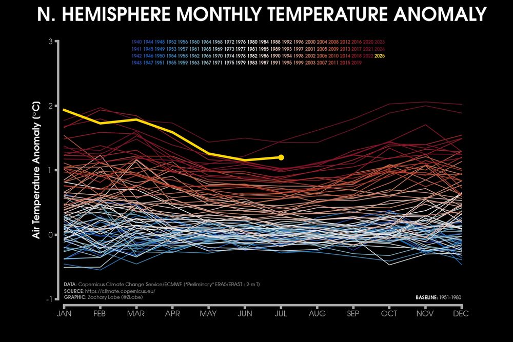 Line graph time series of monthly mean surface temperature anomalies for the Northern Hemisphere region only. Every month is shown from 1940 to July 2025. There is a long-term warming trend in all months of the year.