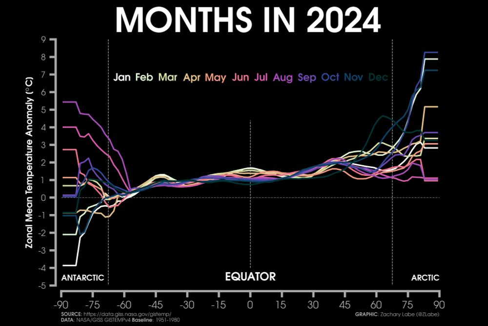 Graph of lines showing zonal-mean surface air temperature anomalies for every month of 2024 relative to a 1951-1980 climatology. Most all months and latitudes are above average, except for in the Antarctic.