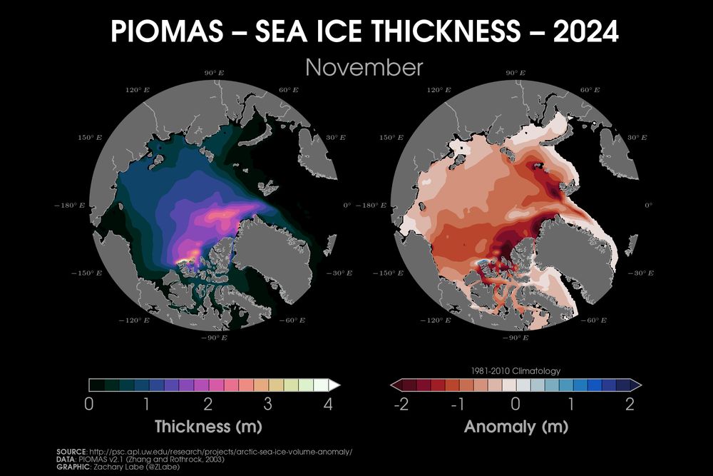 Two polar stereographic maps side-by-side showing November 2024 Arctic sea ice thickness and its anomalies, which are relative to 1981 to 2010. Data is from PIOMAS.