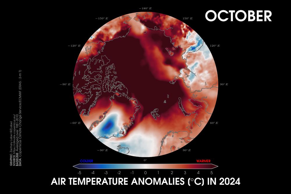 Polar stereographic map showing 2-m air temperature anomalies in October 2024 for the Arctic Circle with red shading for warmer anomalies and blue shading for colder anomalies. Most areas are warmer than average and well exceeded the colorbar maximum of 5°C above average. The baseline is a 1981-2010 reference period using ECMWF ERA5 data.