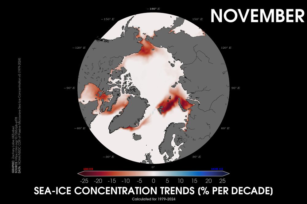 Polar stereographic map showing Arctic sea ice concentration trends in November over the 1979 to 2024 period. Trends are only negative in the outer marginal seas.