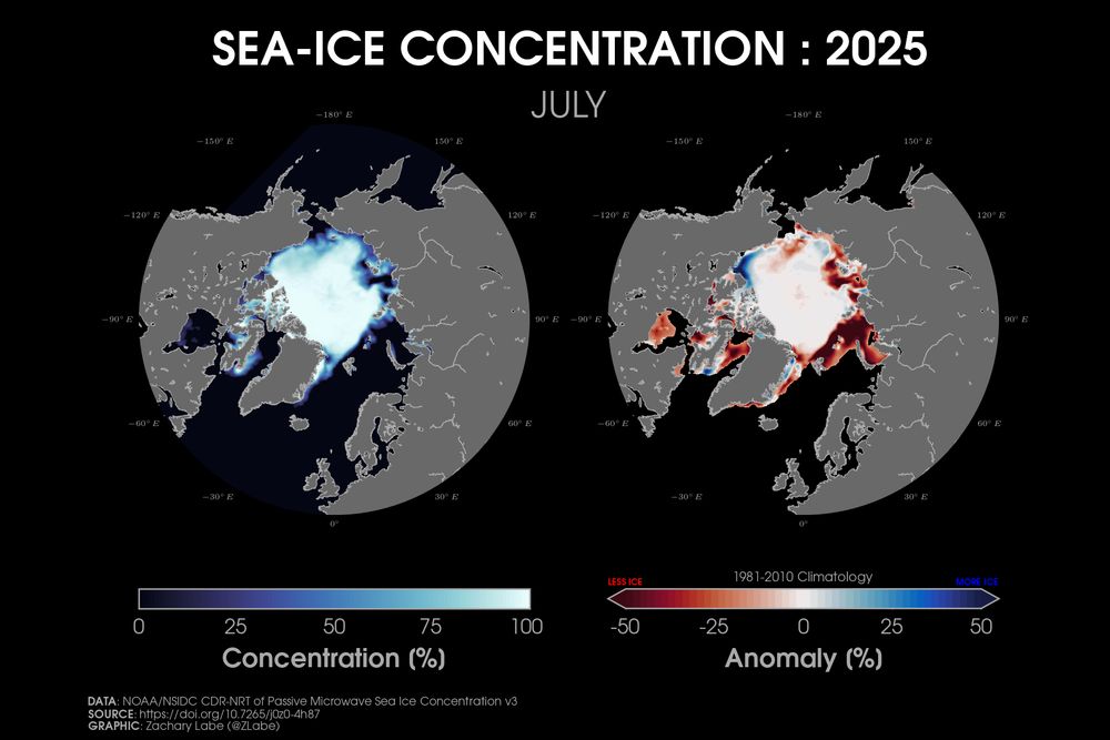 Two polar stereographic maps side-by-side showing Arctic sea ice concentration and its anomalies relative to 1981-2010 for July 2025. Red shading is shown for less ice, and blue shading is shown for more ice. Most areas are below average for sea ice concentration along the edge of the Arctic. Continents and land are masked out in a gray shading.