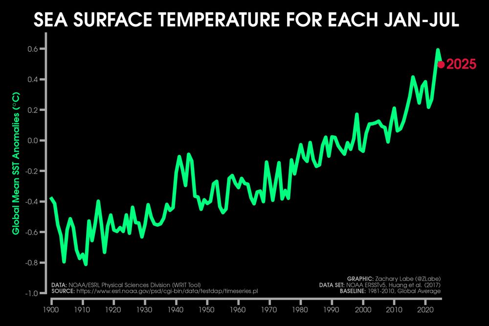 Green line graph time series of average sea surface temperature anomalies for each January to July period from 1900 through 2025. There is large interannual variability, but an overall long-term increasing trend. Anomalies are computed relative to a 1981-2010 baseline.
