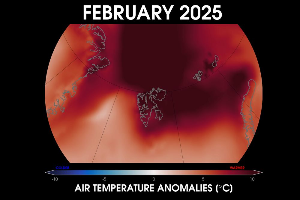Map of the Svalbard region showing 2-m air temperature anomalies in February 2025. Red shading is shown for warmer than average temperatures, and blue shading is shown colder than average temperatures. Anomalies are calculated relative to 1981-2010.