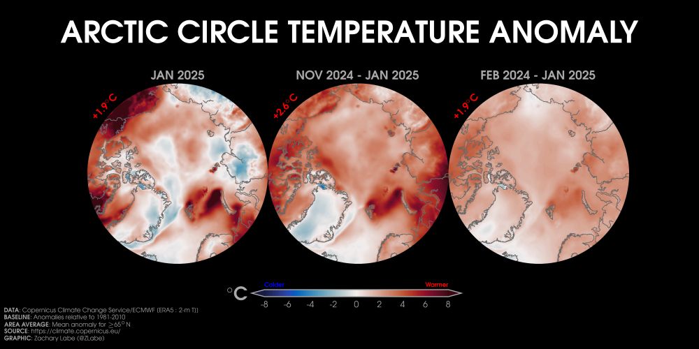 Three orthographic maps showing 2-m air temperature anomalies in January 2025, November 2024 to January 2025, and February 2024 to January 2025 in the Arctic region. Red shading is shown for warmer anomalies, and blue shading is shown for colder anomalies. Most areas are warmer than average. The mean temperature anomaly for each map is also displayed. Anomalies are calculated relative to a 1981-2010 baseline.