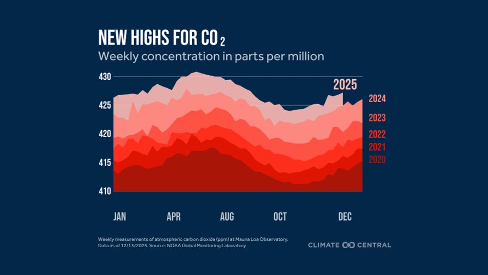 Graphic showing weekly concentration of CO2 in parts per million for the years from 2020 to 2025. We are currently setting new record high levels.