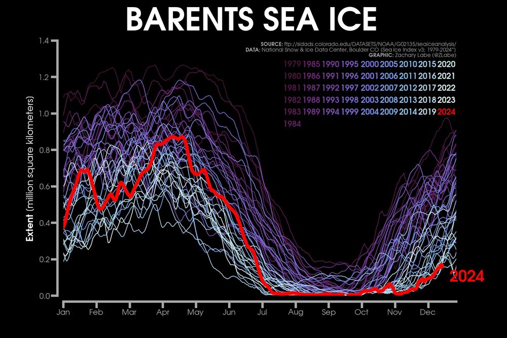 Line graph time series of 2024's daily Arctic sea ice extent compared to each year from 1979 to 2023 as shown with thin lines in colors from purple to white. This graph is for the Barents Sea region only. There is large daily variability, but a long-term decreasing trend during all months of the year. A seasonal cycle is also visible in this region.