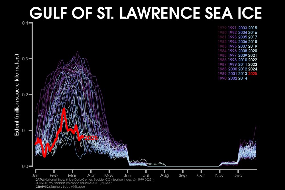 Line graph time series of 2025's daily Arctic sea ice extent compared to each year from 1979 to 2024 as shown with thin lines in colors from purple to white. This graph is for the Gulf of St. Lawrence region. There is large daily variability, but a long-term decreasing trend is visible during the melt season months. A seasonal cycle is also visible in this region.