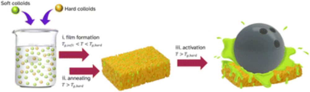 A mesh reinforced pressure-sensitive adhesive for a linerless label design