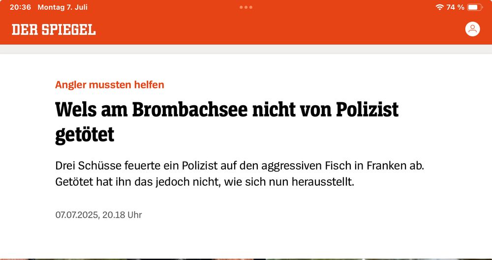 Angler mussten helfen
Wels am Brombachsee nicht von Polizist getötet
Drei Schüsse feuerte ein Polizist auf den aggressiven Fisch in Franken ab. Getötet hat ihn das jedoch nicht, wie sich nun herausstellt.
