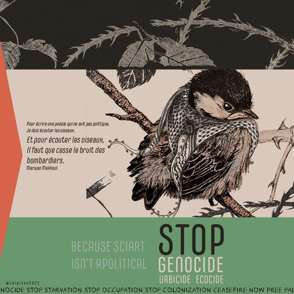 Small cute great tit illustration, with a small keffiyeh. text : stop genocide urbicide ecocide stop colonization stop starvation.
+
"To write poetry that is not political, I have to listen to the birds. and to listen to the birds, the noise of the bombers must stop. 
Marwan Makhoul."