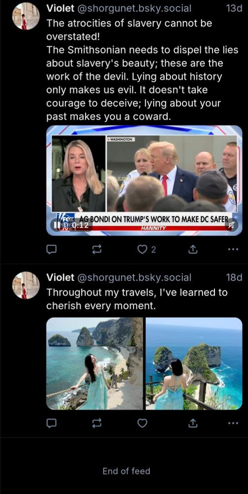 Two skeets from the beginning of Violet's history, 18 days ago. Her first one was an introduction with two photos. The next is a fox news segment and an anti-trump message