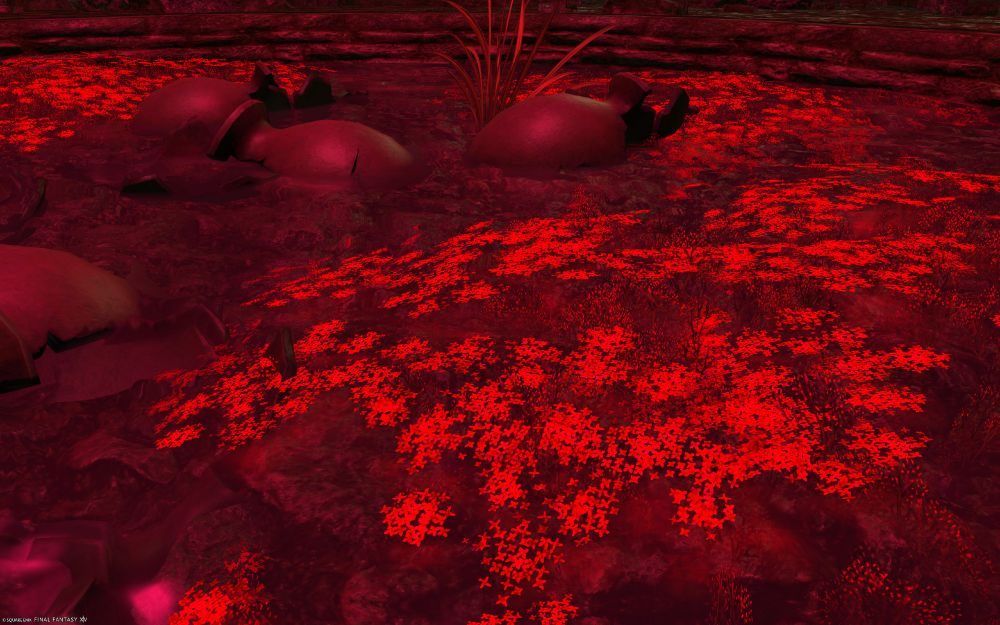 Red Flowers, not sure which kind though; it's hard to tell with the low pixel count