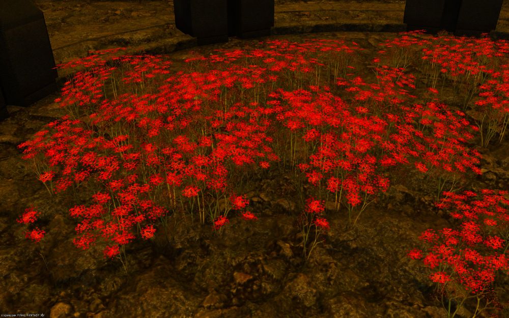 Red Flowers, not sure which kind though; it's hard to tell with the low pixel count