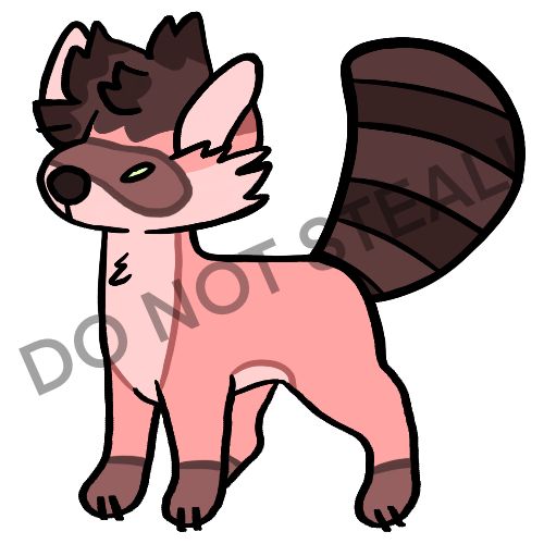 Bubblegum Raccoon Adopt