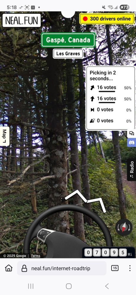 The same steering wheel, now in a forest.  The footpath is to the viewer's right.  The "car" appears to have driven into a tree.