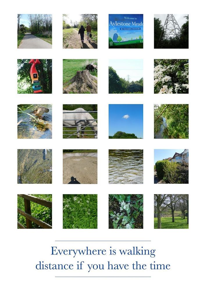 A collage of twenty square photographs arranged in a 4x5 grid, depicting scenes from a countryside walk. Images include a paved path through trees, people walking a dog, a sign for "Aylestone Meadows," an electricity pylon, a red emergency phone, a tree stump, blooming white flowers, a river, a white horse behind a fence, a single cloud in a blue sky, leafy branches over water, reflections in a stream, a sandy patch with a shadow, rippling water, suburban houses with hedges, a wooden fence, wildflowers, lichen on rocks, and a row of trees in a grassy park. Below the collage, the text reads: "Everywhere is walking distance if you have the time."