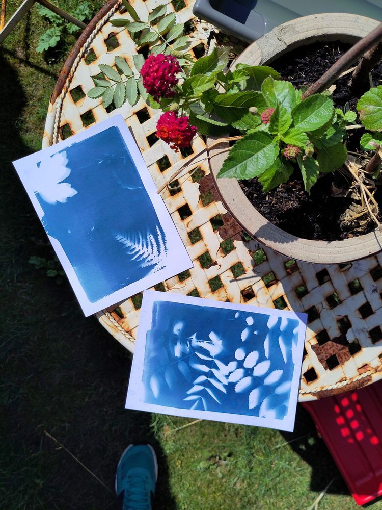 Cyanotype prints of leaves and ferns placed on a round, weathered outdoor table next to a potted plant with vibrant red flowers. A person's turquoise shoe is partially visible in the lower part of the frame.