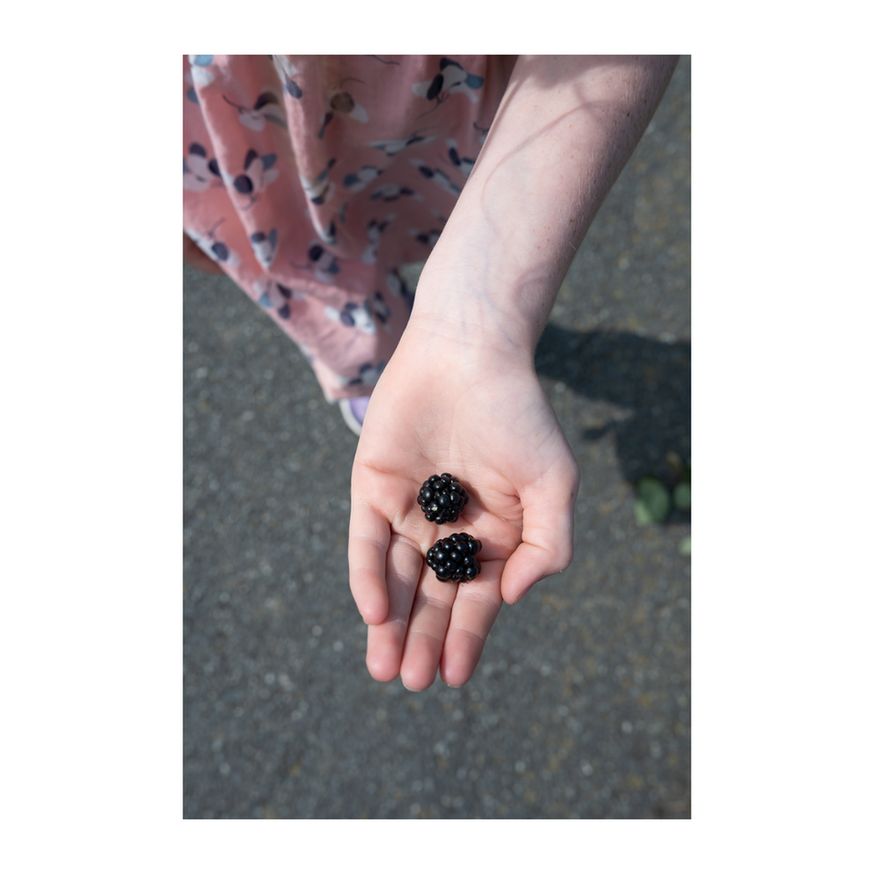 A close-up of a hand holding two ripe blackberries. The person is wearing a pink dress with a pattern of dark blue and white shapes. The background is a paved surface, possibly a sidewalk or road. The image emphasizes the rich texture and deep color of the berries against the soft tones of the hand and dress.