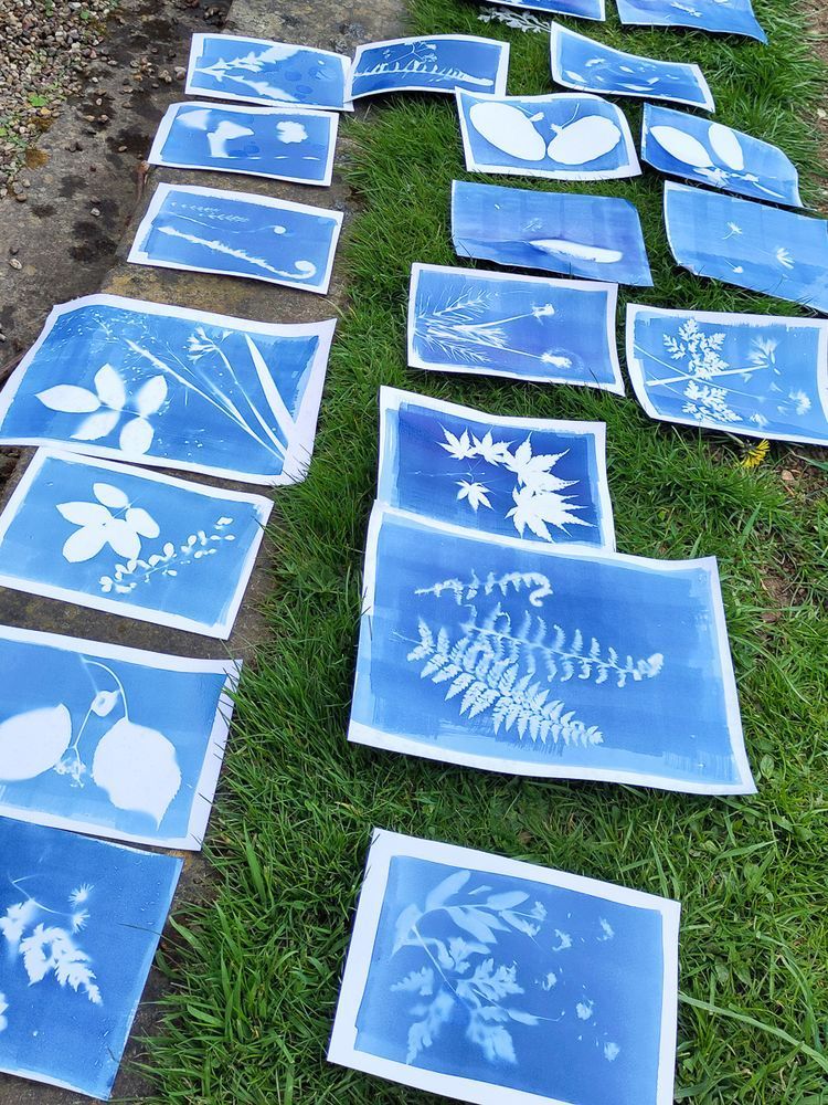 A close-up view of multiple blue cyanotype prints with white botanical silhouettes spread out on grass and pavement. The prints display a variety of plant shapes, such as leaves, ferns, and flowers, arranged in an overlapping pattern.