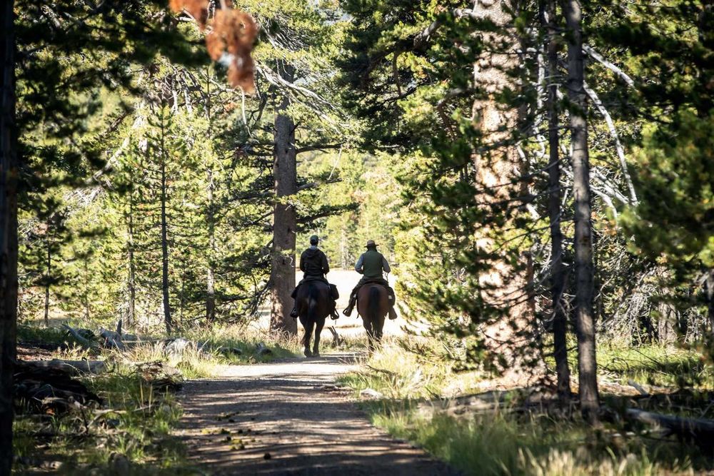 Yosemite just announced when Tuolumne Meadows Campground will reopen