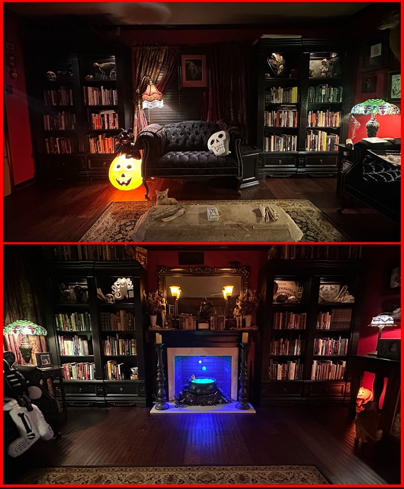 Spooky library living room.