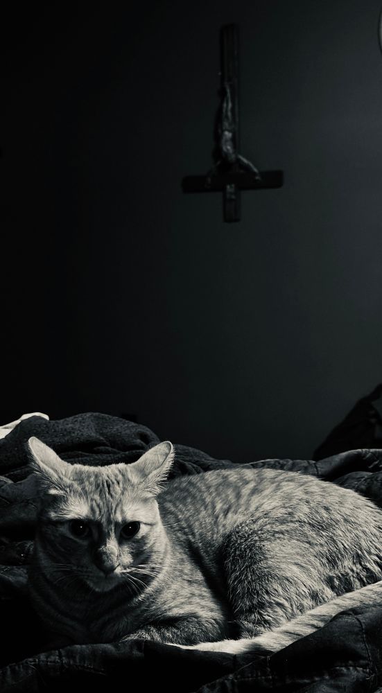 Cat and inverted crucifix 