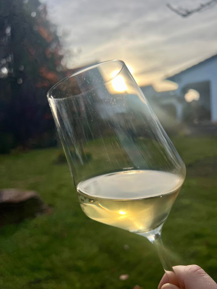 Eine Hand hält ein gefülltes Weißweinglas. Im Hintergrund ist verschwommen ein Garten. 