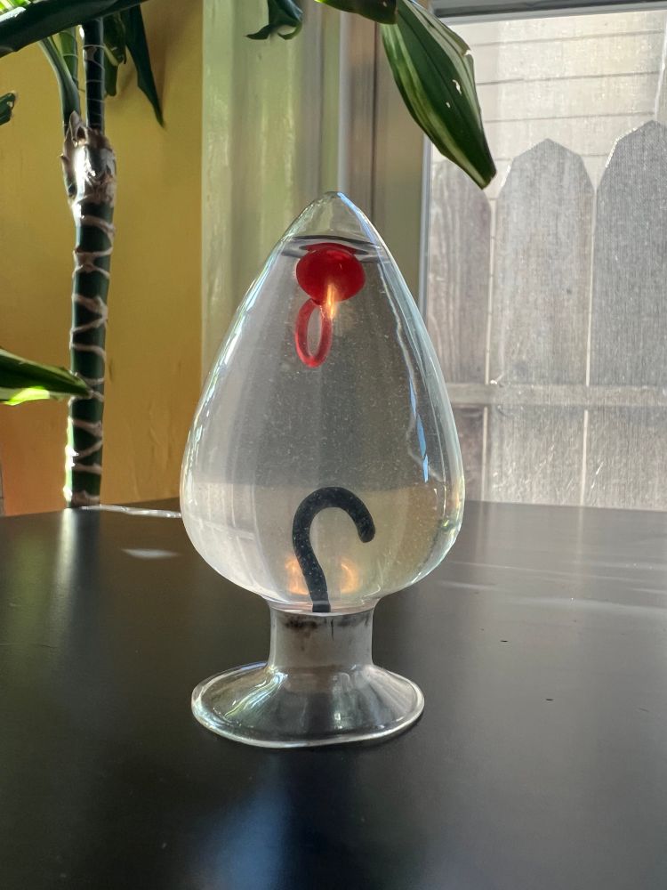 A glass butt plug water ring toy sits base down on a black table with water, a black fishing hook, and a round red ring bait inside.